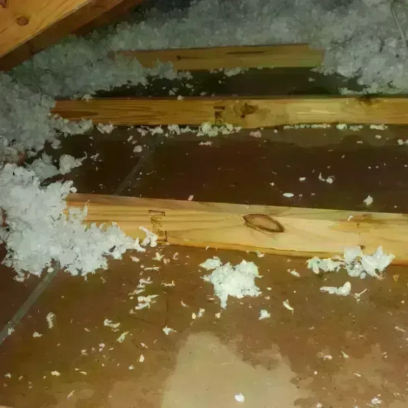 Attic Water Damage in Nocona, TX