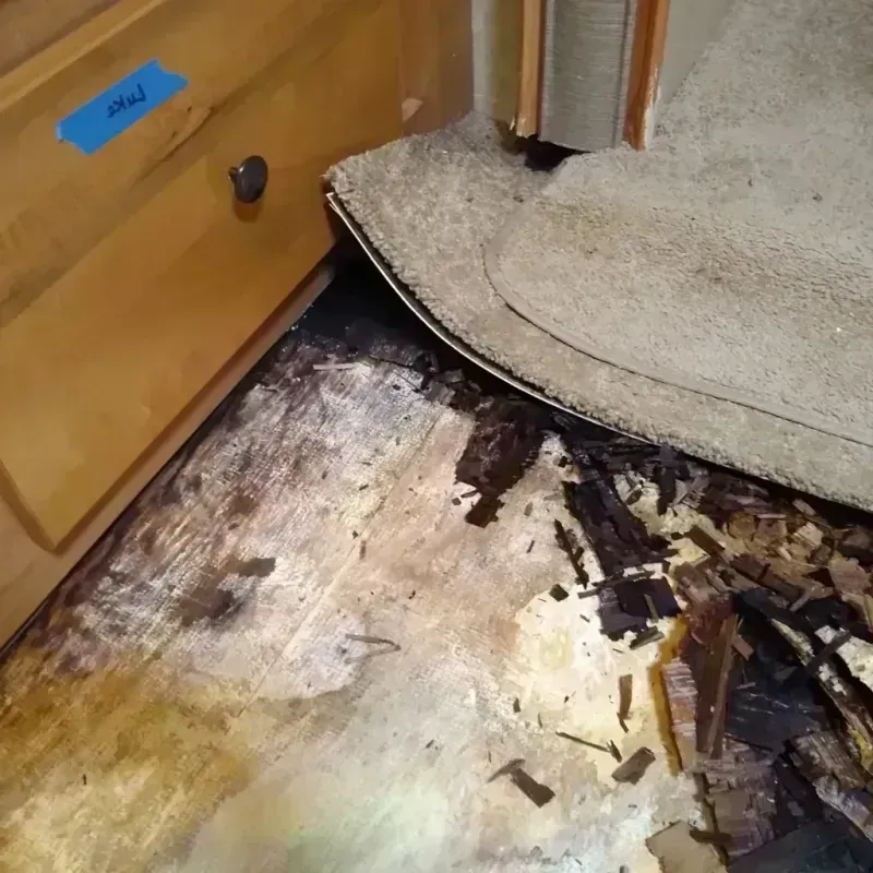 Best Wood Floor Water Damage Service in Nocona, TX